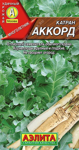 Tataarikaali "Akkord"